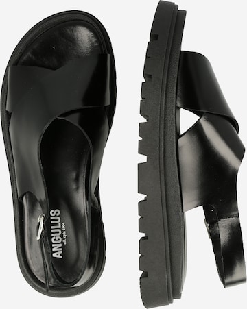ANGULUS Strap sandal in Black