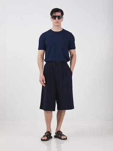 Giesto Wide leg Broek in Blauw