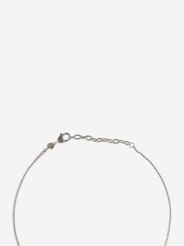 SKAGEN Necklace in Silver