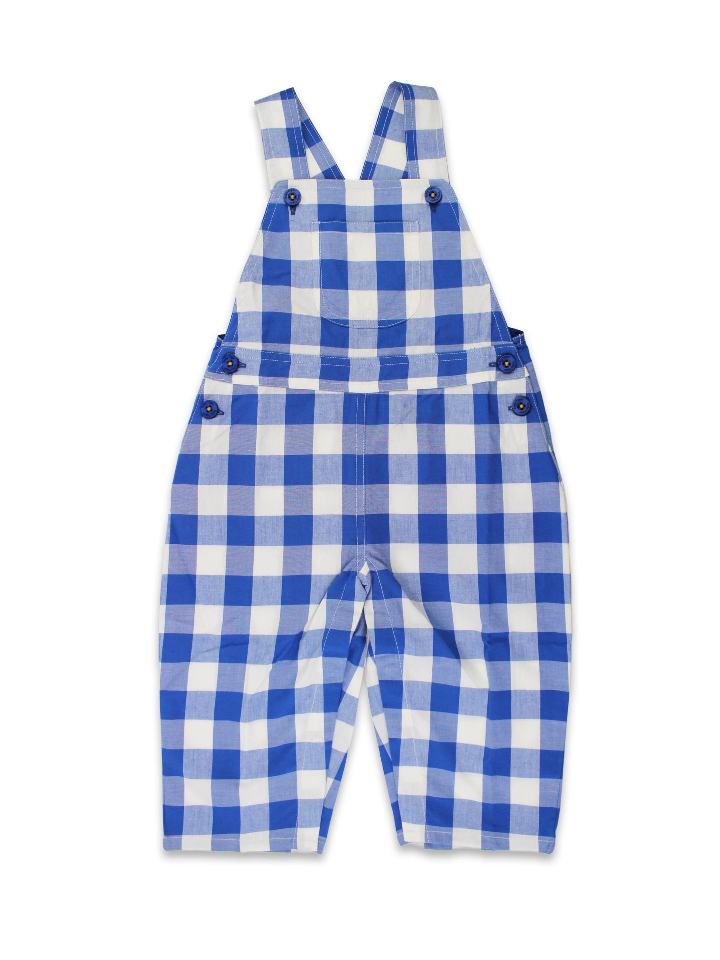 Toby Tiger Regular Overalls in Blue: front