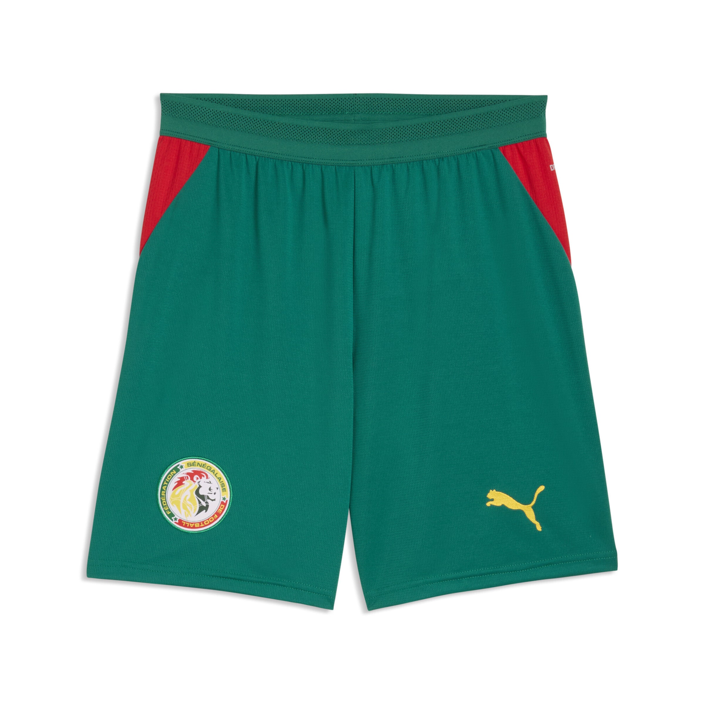 PUMA Regular Sportbroek 'Senegal' in Groen: voorkant