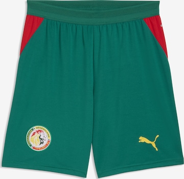 PUMA Regular Sports trousers 'Senegal' in Green: front
