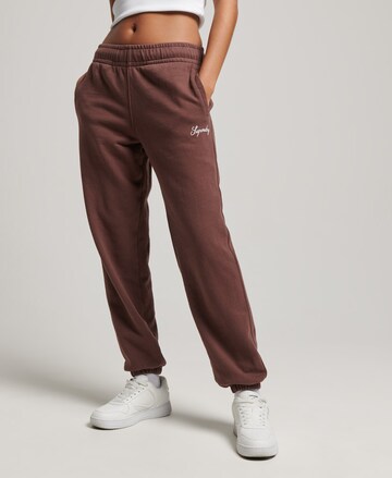 Superdry Tapered Hose in Braun: Vorderseite