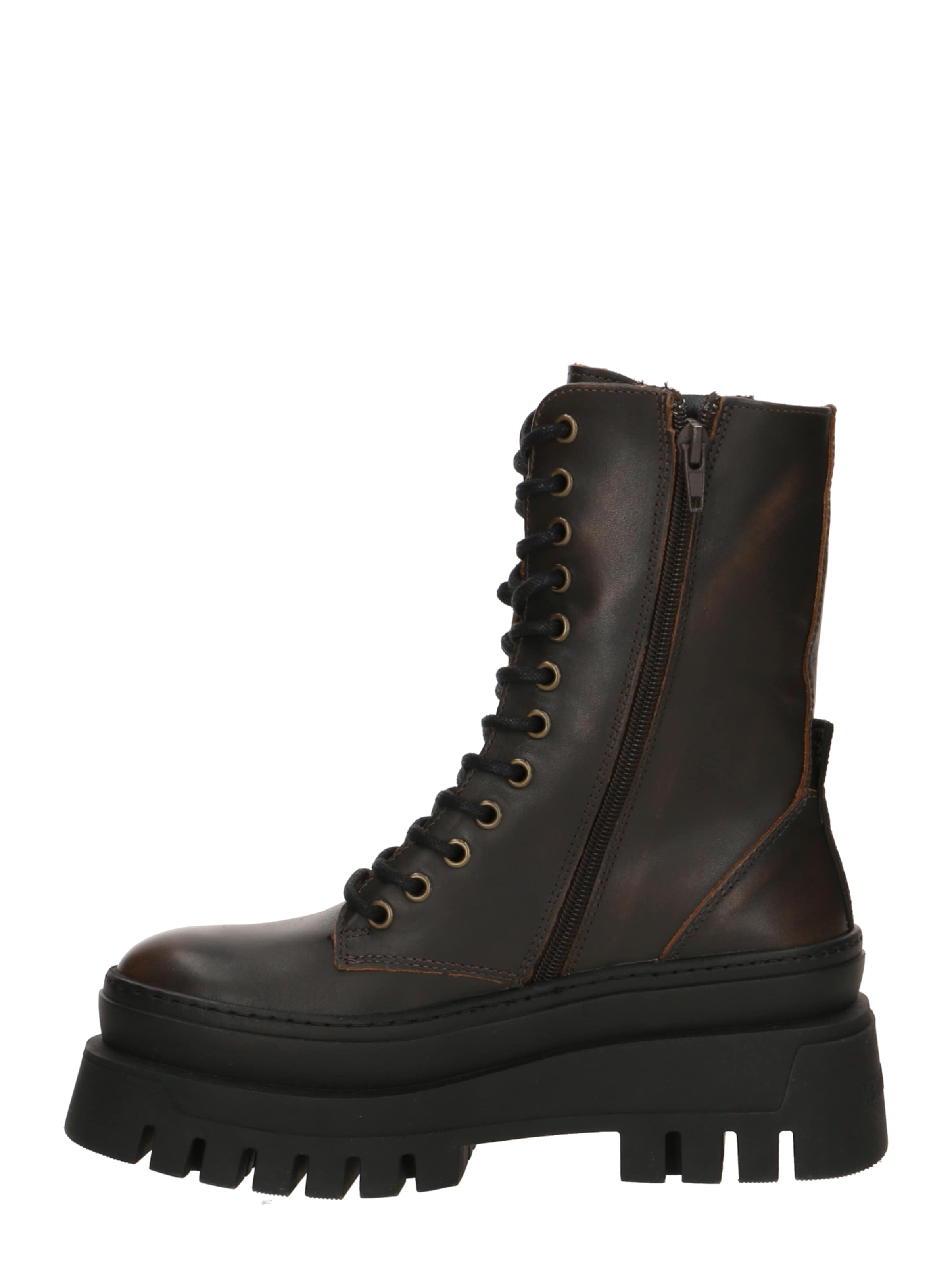 STEVE MADDEN Botki sznurowane 'COAST' w kolorze brązowy