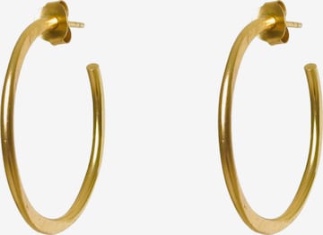 Haze&Glory Earrings 'Everyday' in Gold: front