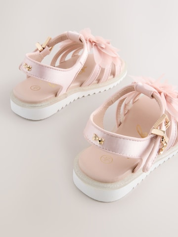 Baker by Ted Baker Sandalen in Roze