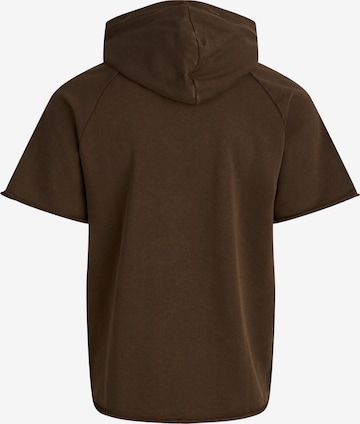 Redefined Rebel Sweatshirt 'Fabian' in Brown
