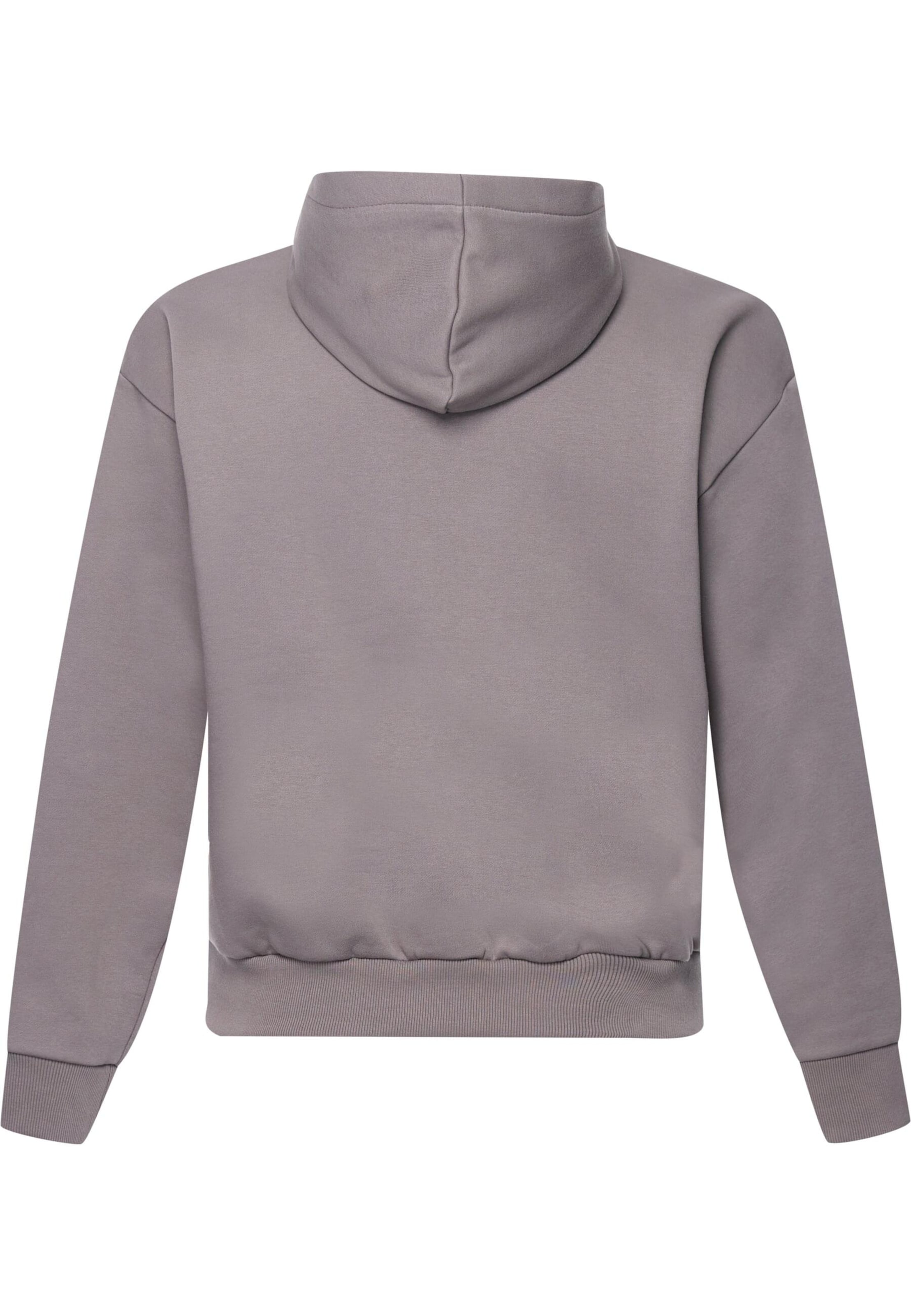 Dropsize Sweatshirt in Grey