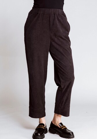 Zhrill Regular Pants in Brown: front