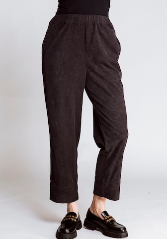 Zhrill Pants in Brown: front