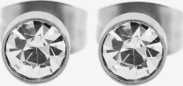 Akzent Earrings 'Beldana, langlebig' in Silver: front