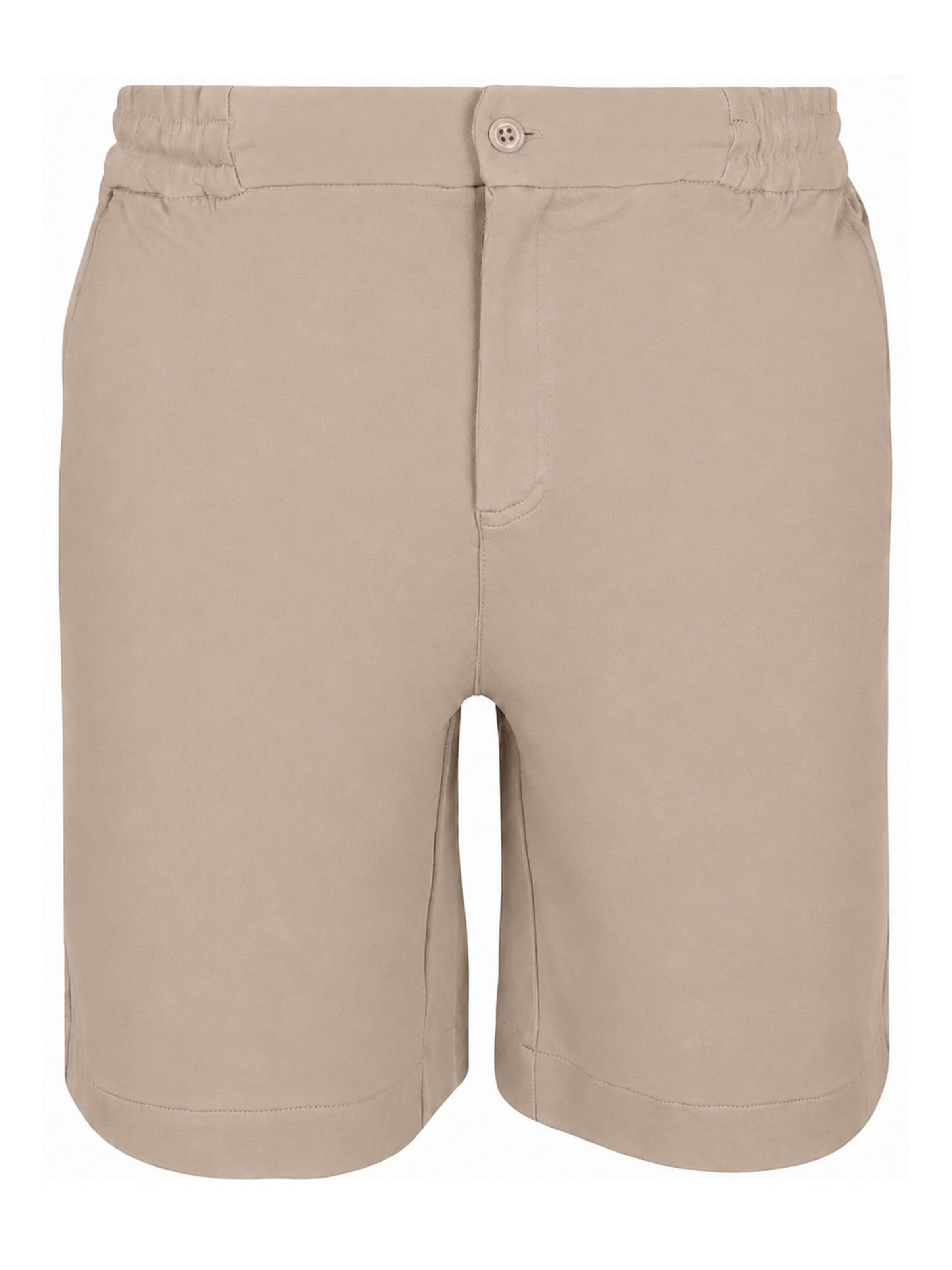 Suitable Regular Hose 'Jink' in Beige: Vorderseite