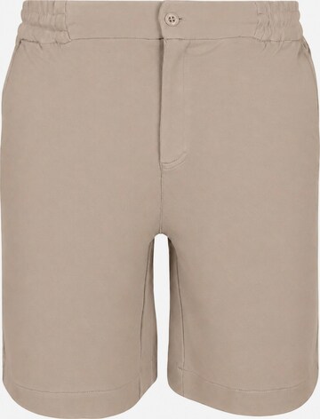 Suitable Regular Hose 'Jink' in Beige: Vorderseite