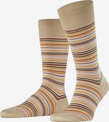 FALKE Socken 'Microblock' in Beige: Vorderseite