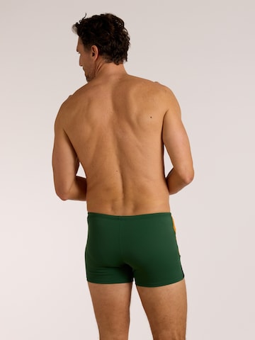 wavebreaker Swim Trunks in Green