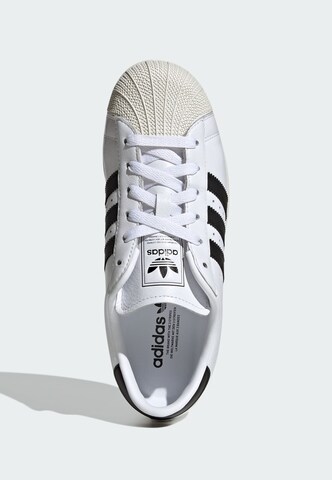 Sneaker bassa 'Superstar' di ADIDAS ORIGINALS in bianco