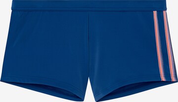 Shorts de bain ' Nautical Cup ' HOM en bleu : devant