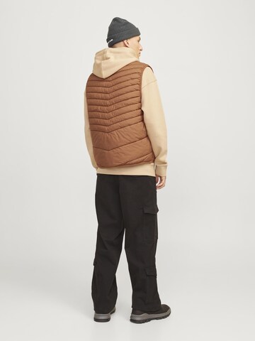 JACK & JONES Елек 'JJEState' в кафяво