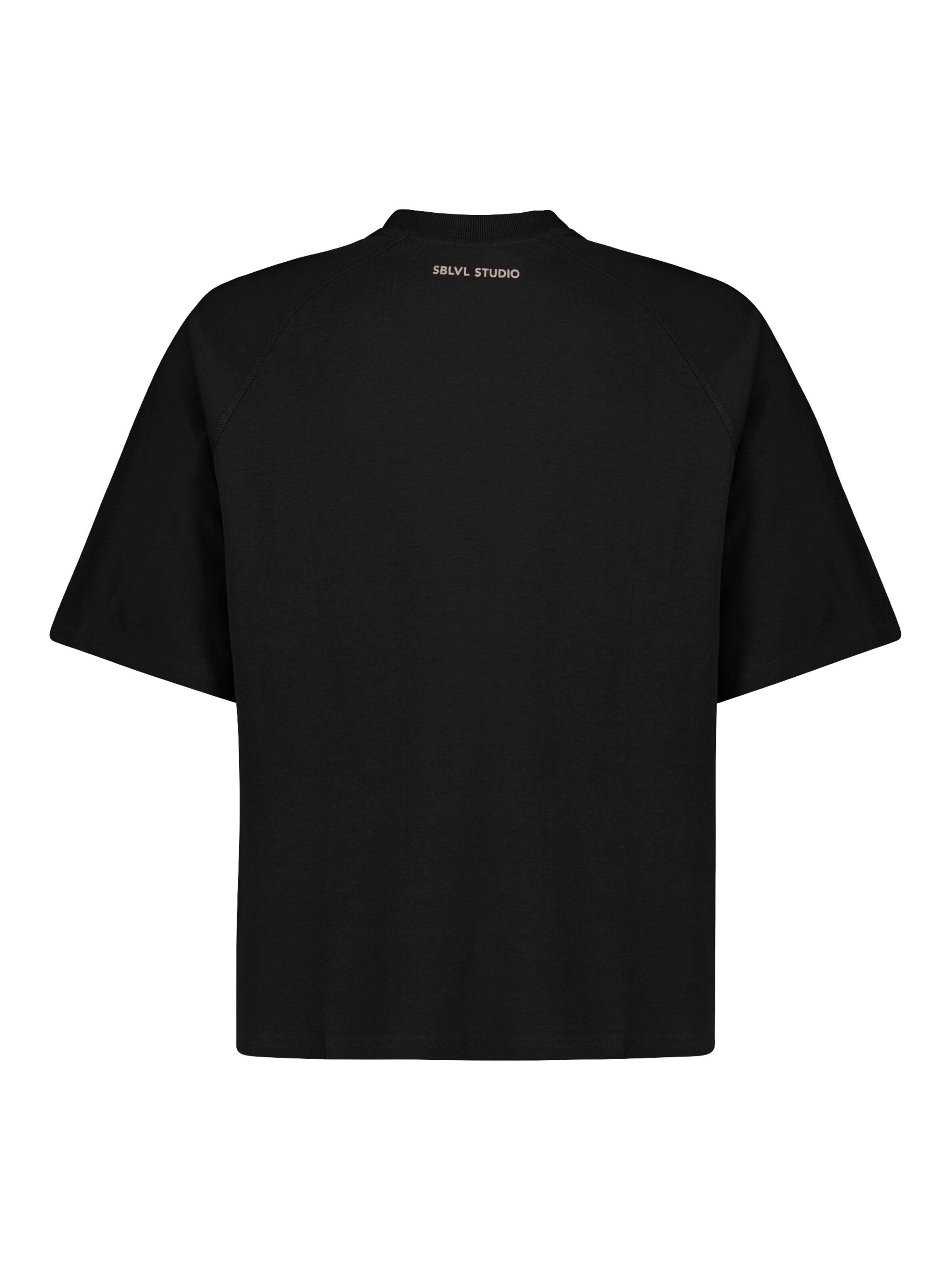Sublevel T-Shirt in Schwarz