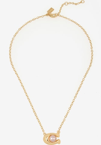 COACHLančić - zlatna boja: prednji dio