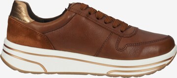 ARA Sneakers 'Sapporo 2.0' in Brown