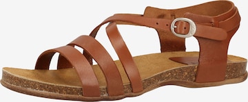 Kickers Strap Sandals in Brown: front