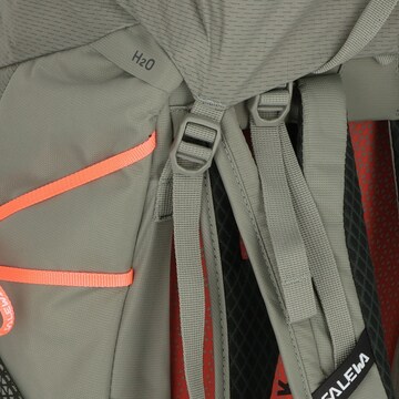 SALEWA Sports backpack in Grey