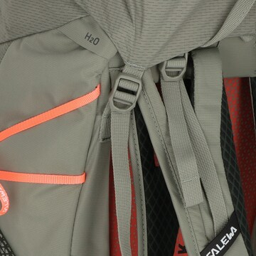 SALEWA Sports Backpack in Grey