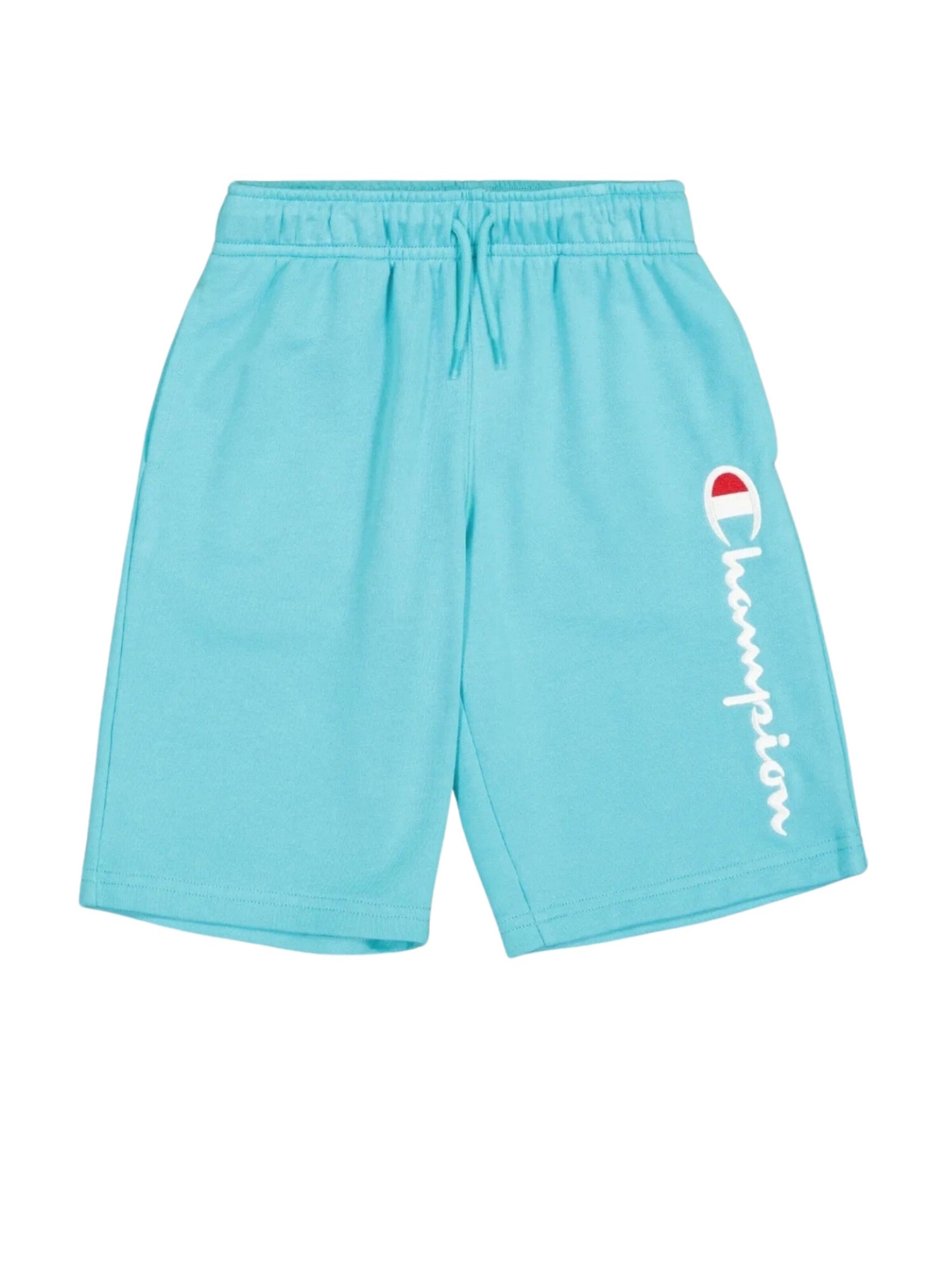 Regular Pantalon de sport Champion Authentic Athletic Apparel en bleu : devant