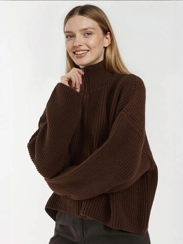 Hiccup Oversized Cardigan in Brown: front