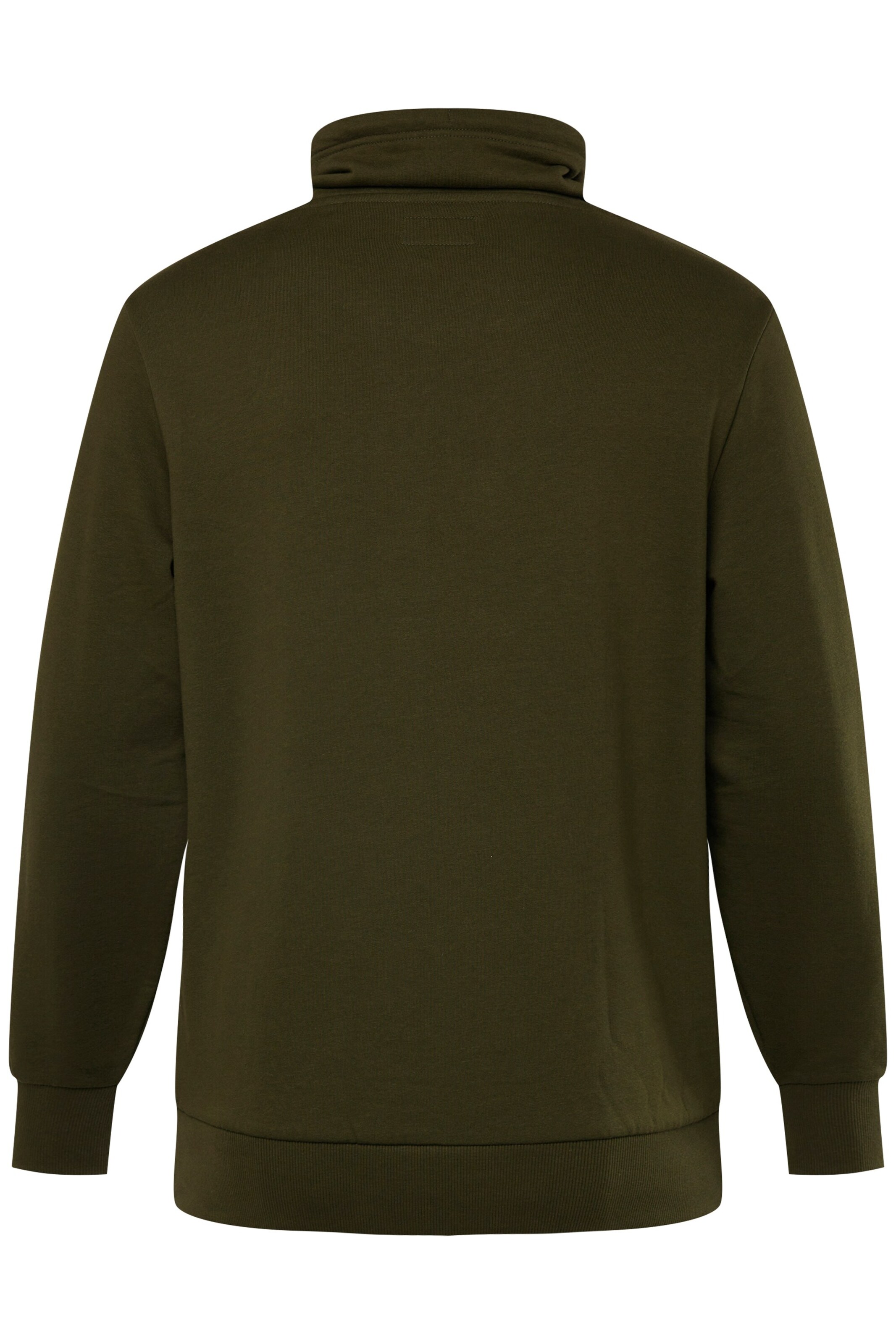 Men Plus Sweatshirt in Grün