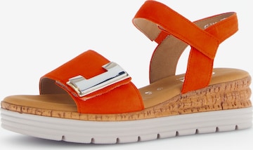 GABOR Sandals in Orange: front