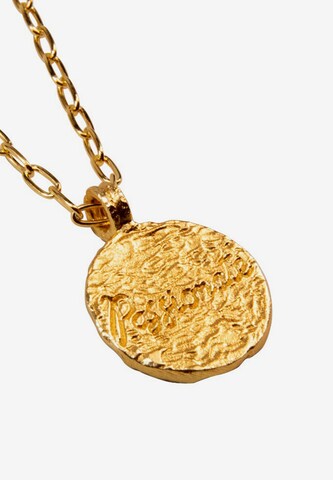 Haze&Glory Ketting 'Widder' in Goud