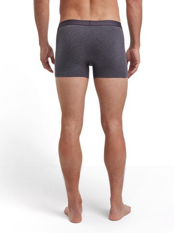 FALKE Boxer shorts '2-Pack' in Grey
