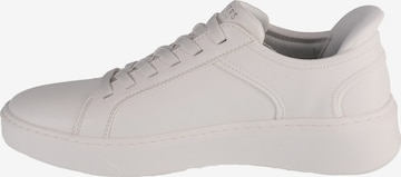 Baskets basses 'Court Break - Suit' SKECHERS en blanc : devant