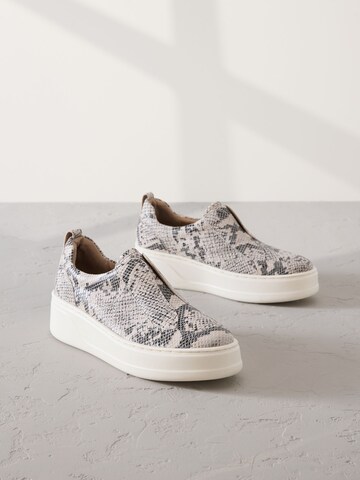 Next Slip-on in Mixed colours