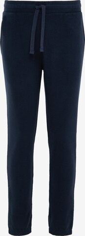 Threadbare Tapered Pants in Blue: front
