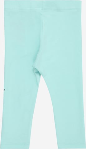 Calvin Klein Jeans Skinny Pajkice | zelena barva
