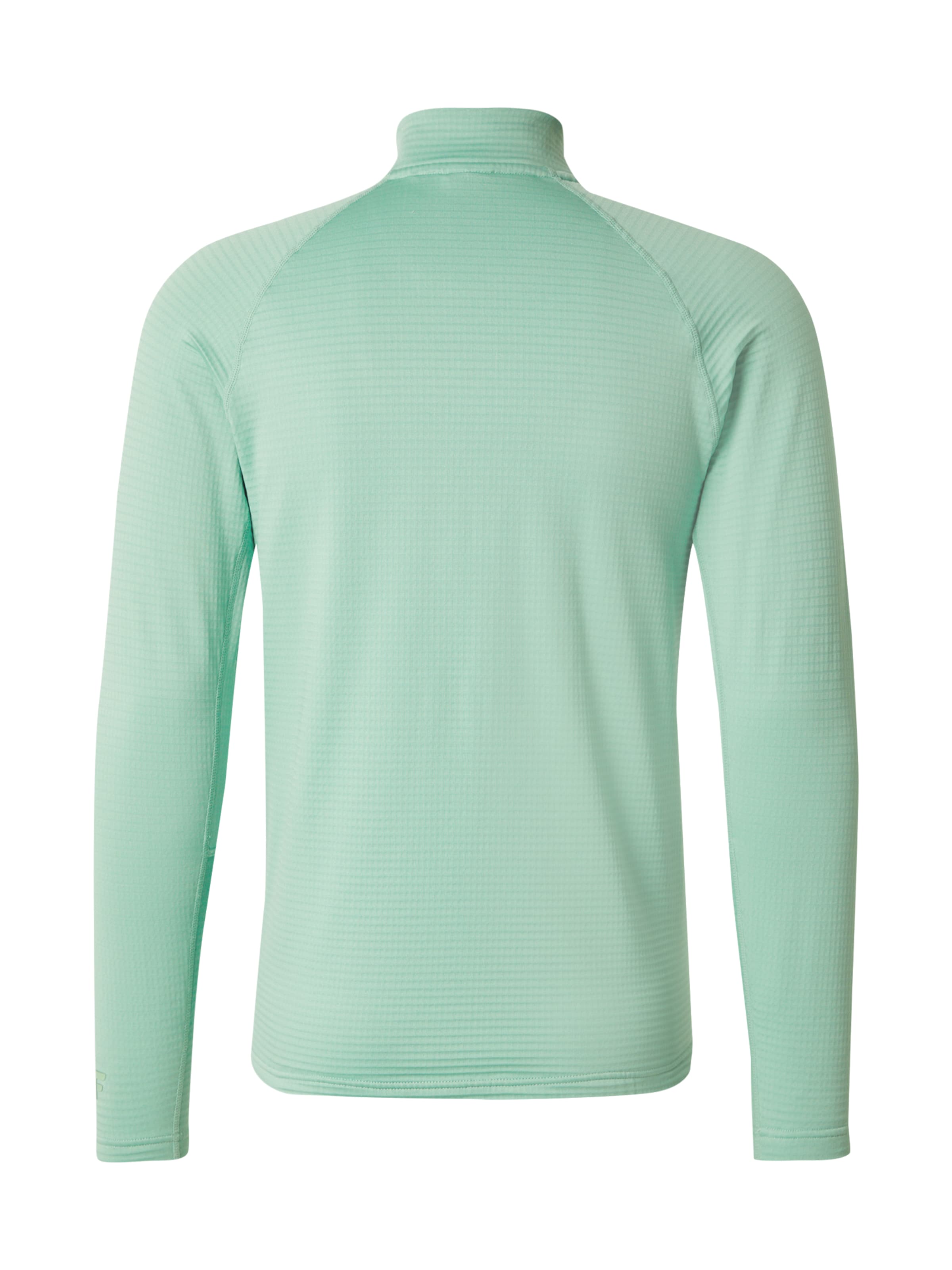 4F Спортивный свитшот в Зеленый: сзади