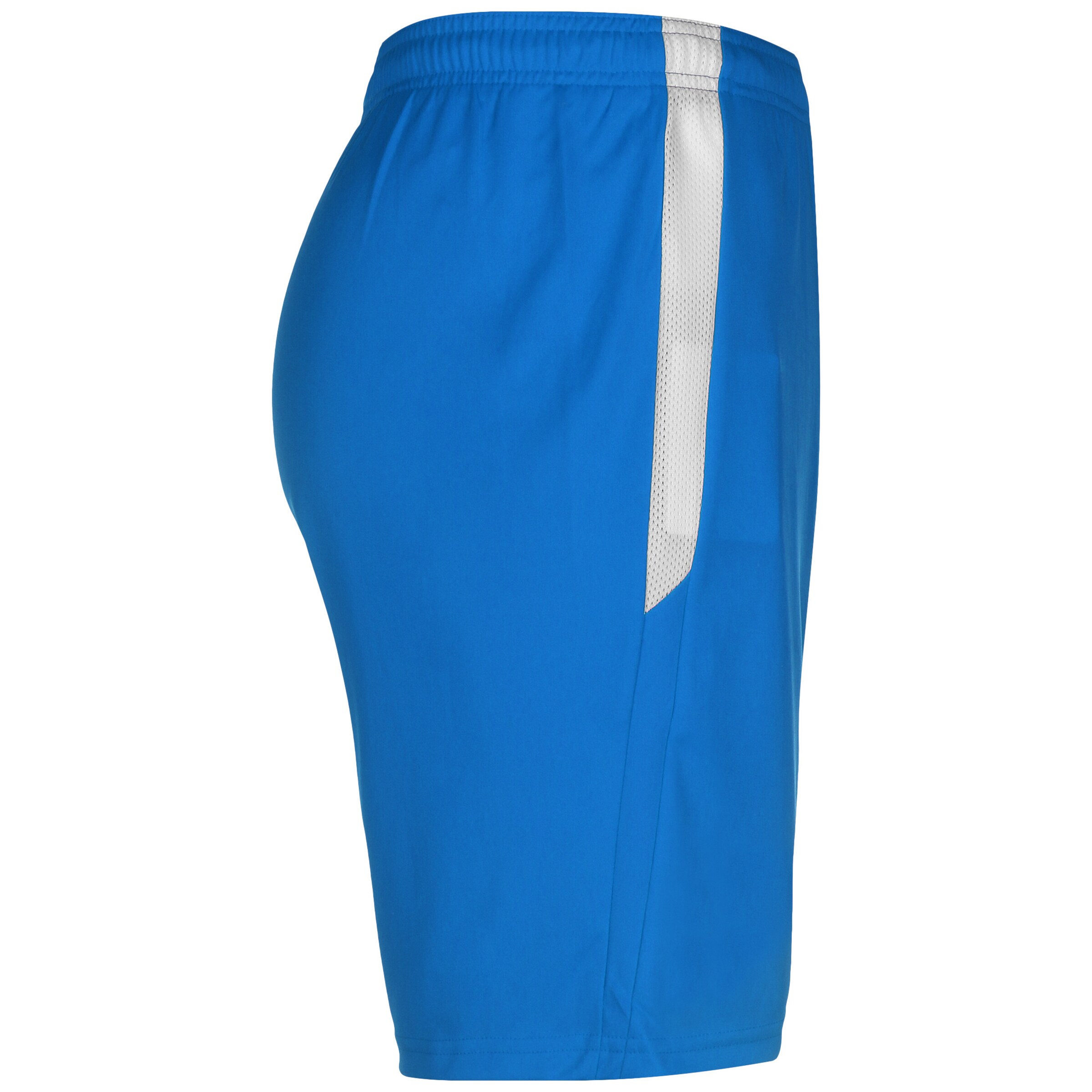 PUMA Regular Workout Pants 'TeamLIGA' in Blue