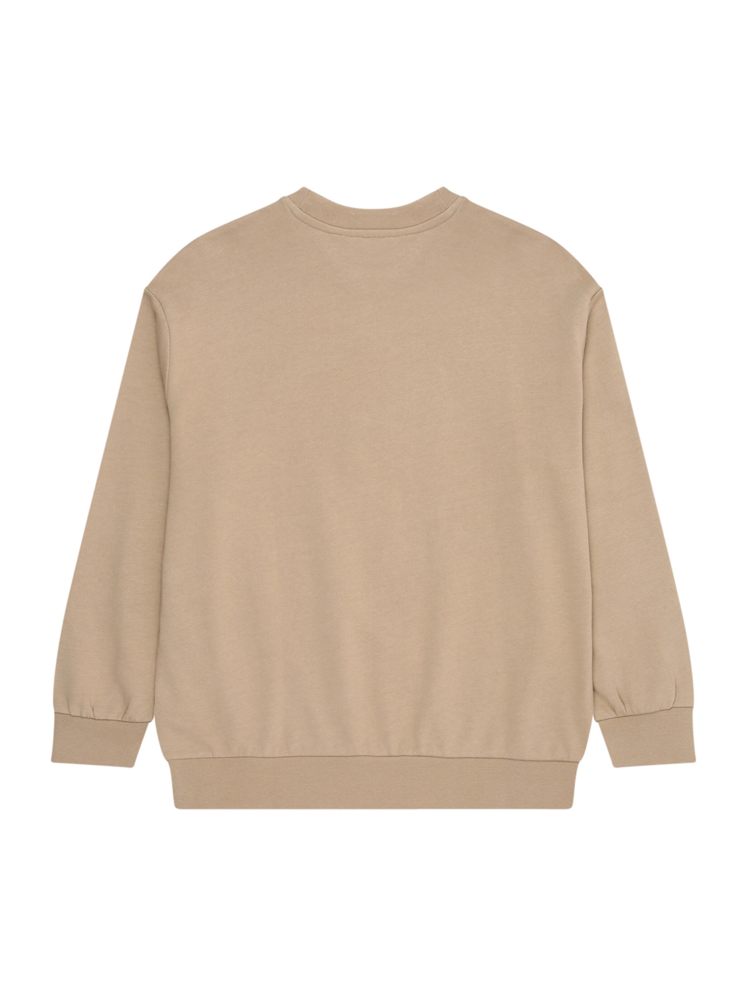 Only & Sons Junior Bluza 'OSJROAD' w kolorze beżowy