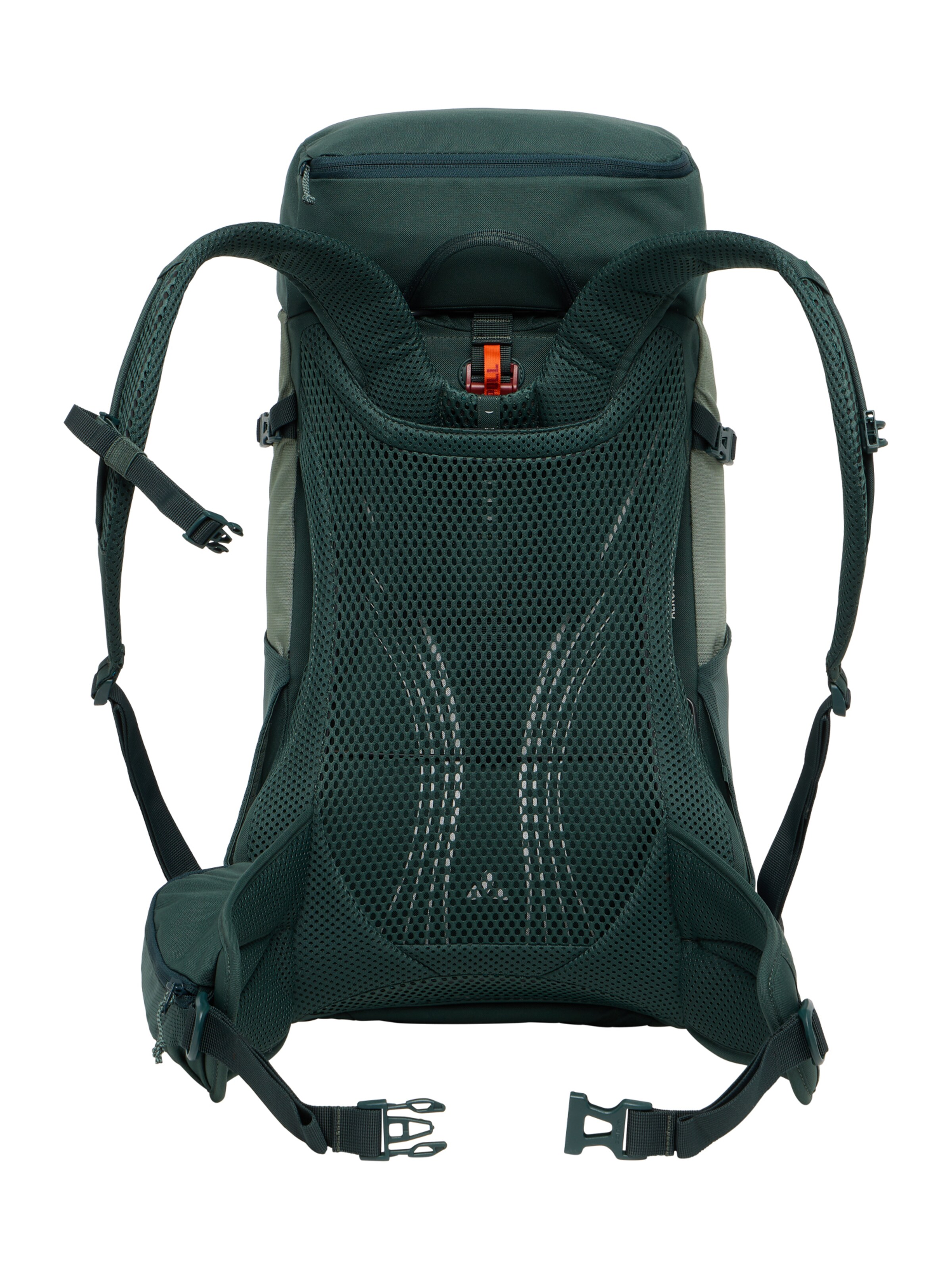 VAUDE Sports backpack 'Brenta 24' in Green