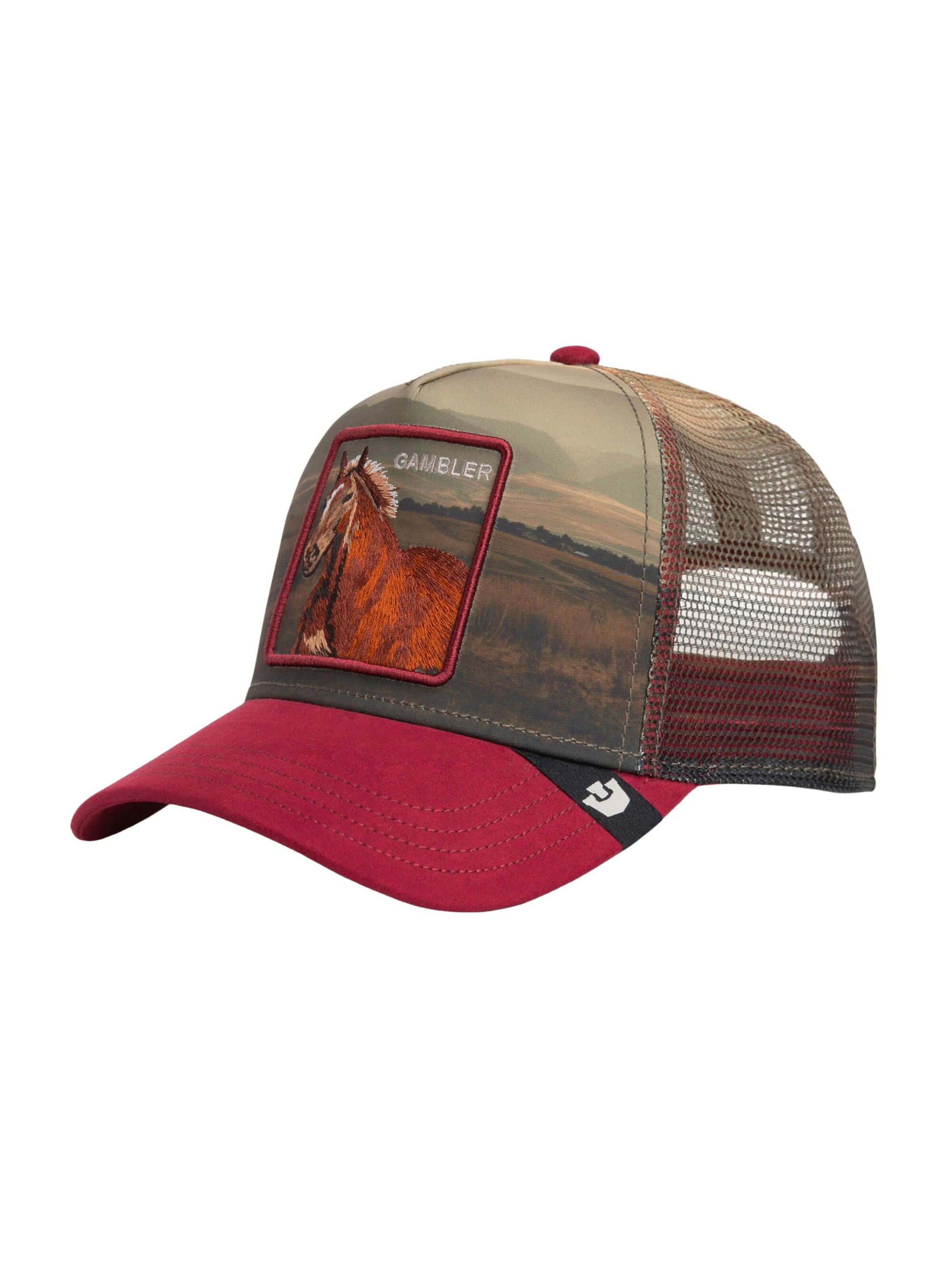 GOORIN Bros. Cap 'Stallion In The Element' in Mixed colors: front