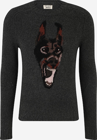 Zadig & Voltaire Pullover 'JORDAN WE DOBERMANN' in Grau: predná strana