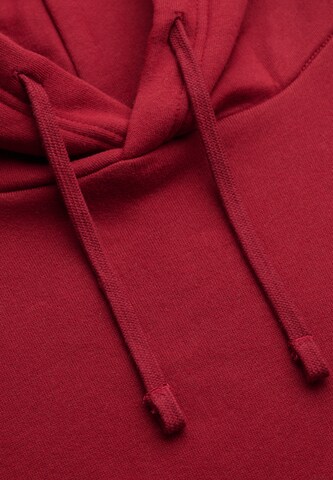 Superdry & Co Sweatshirt 'Essential' in Red