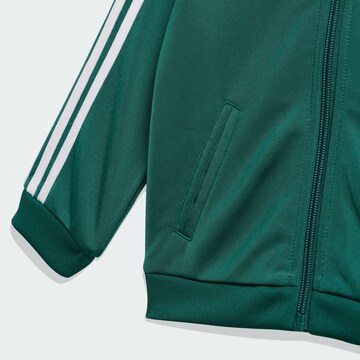 ADIDAS ORIGINALS Jogginganzug 'Firebird' in Grün