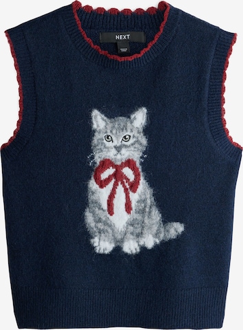 Pullover di Next in blu: frontale