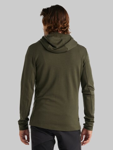 ICEBREAKER Athletic Zip-Up Hoodie 'Quantum III' in Green