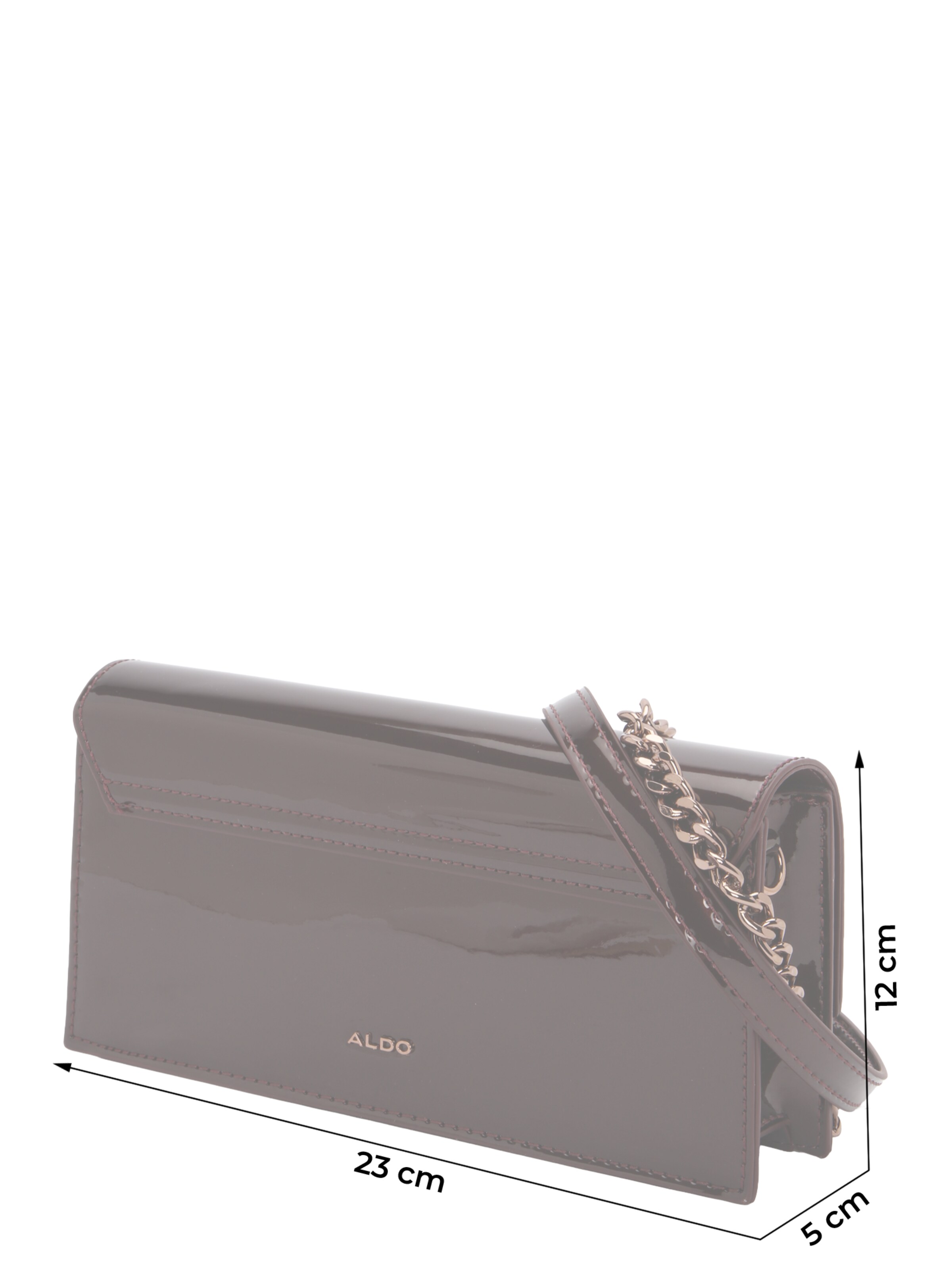 ALDO Сумка через плечо 'CARRENTER' в Коричневый