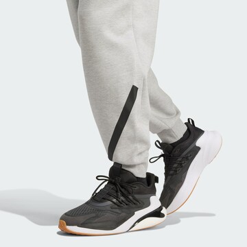 ADIDAS SPORTSWEAR Tapered Παντελόνι φόρμας 'Z.N.E.' σε γκρι